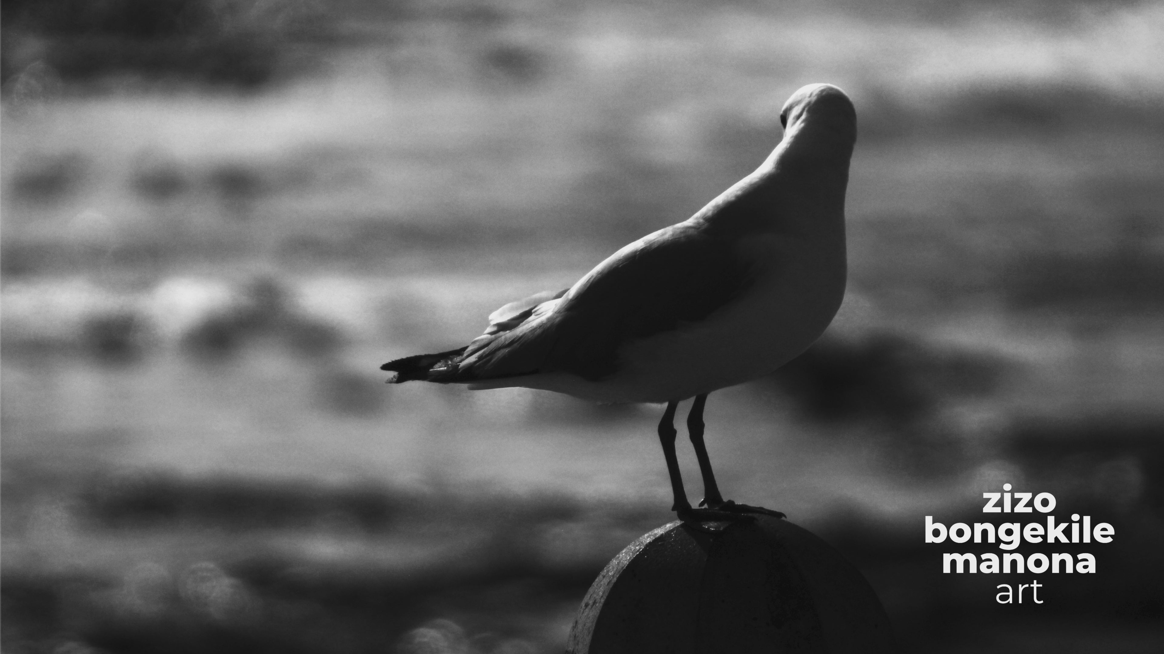 Solitude